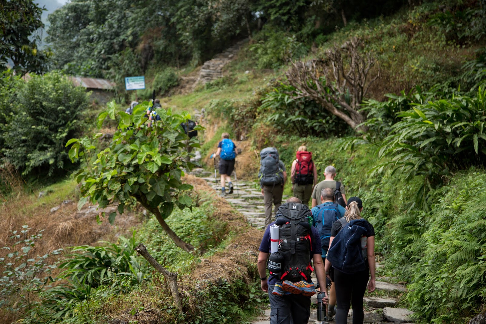 Trek Route - Uphill 3