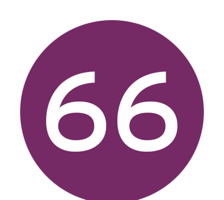 66