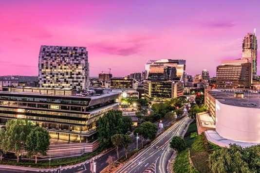 DivInsight Report - Q4 2025