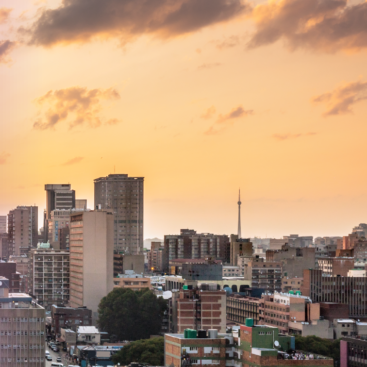 DivInsight Report - Q4 2024