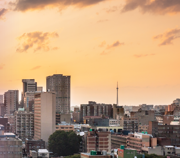 DivInsight Report - Q4 2024