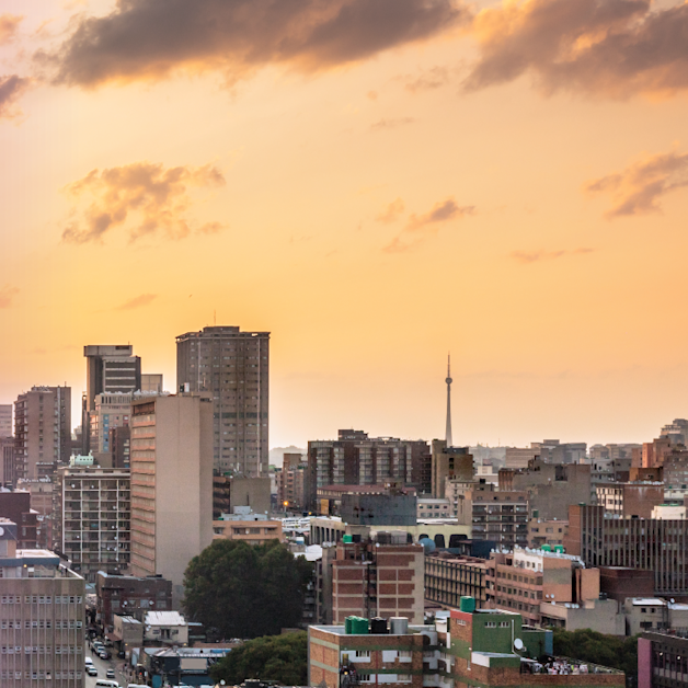 DivInsight Report - Q4 2024