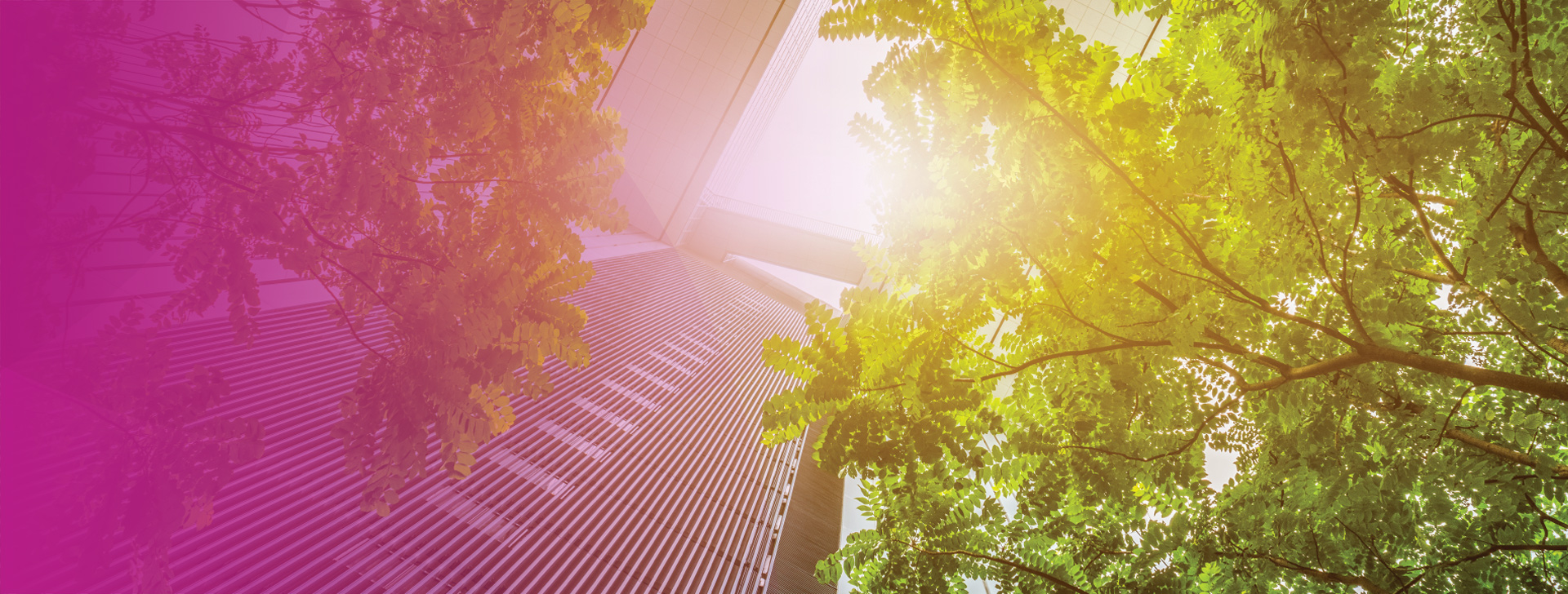 ESG: What to know and where to begin in a dynamic time