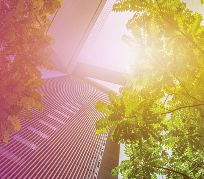 ESG: What to know and where to begin in a dynamic time