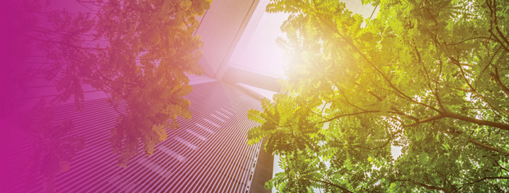 ESG: What to know and where to begin in a dynamic time