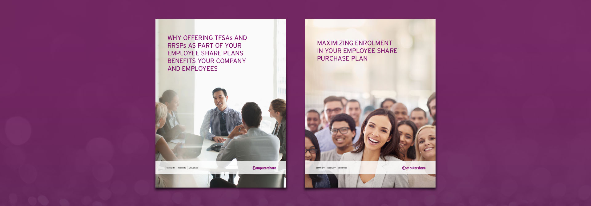 Employee Equity Plans: Whitepapers
