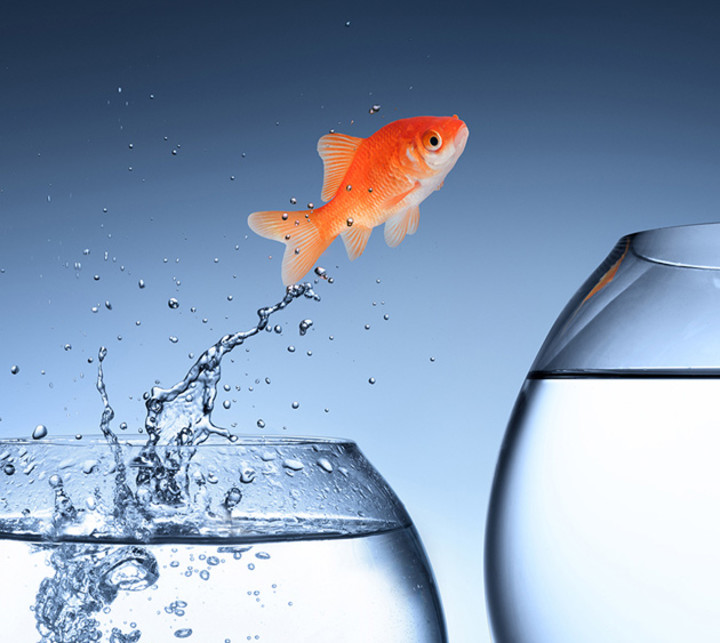 WebHeader-ETF-fish-square