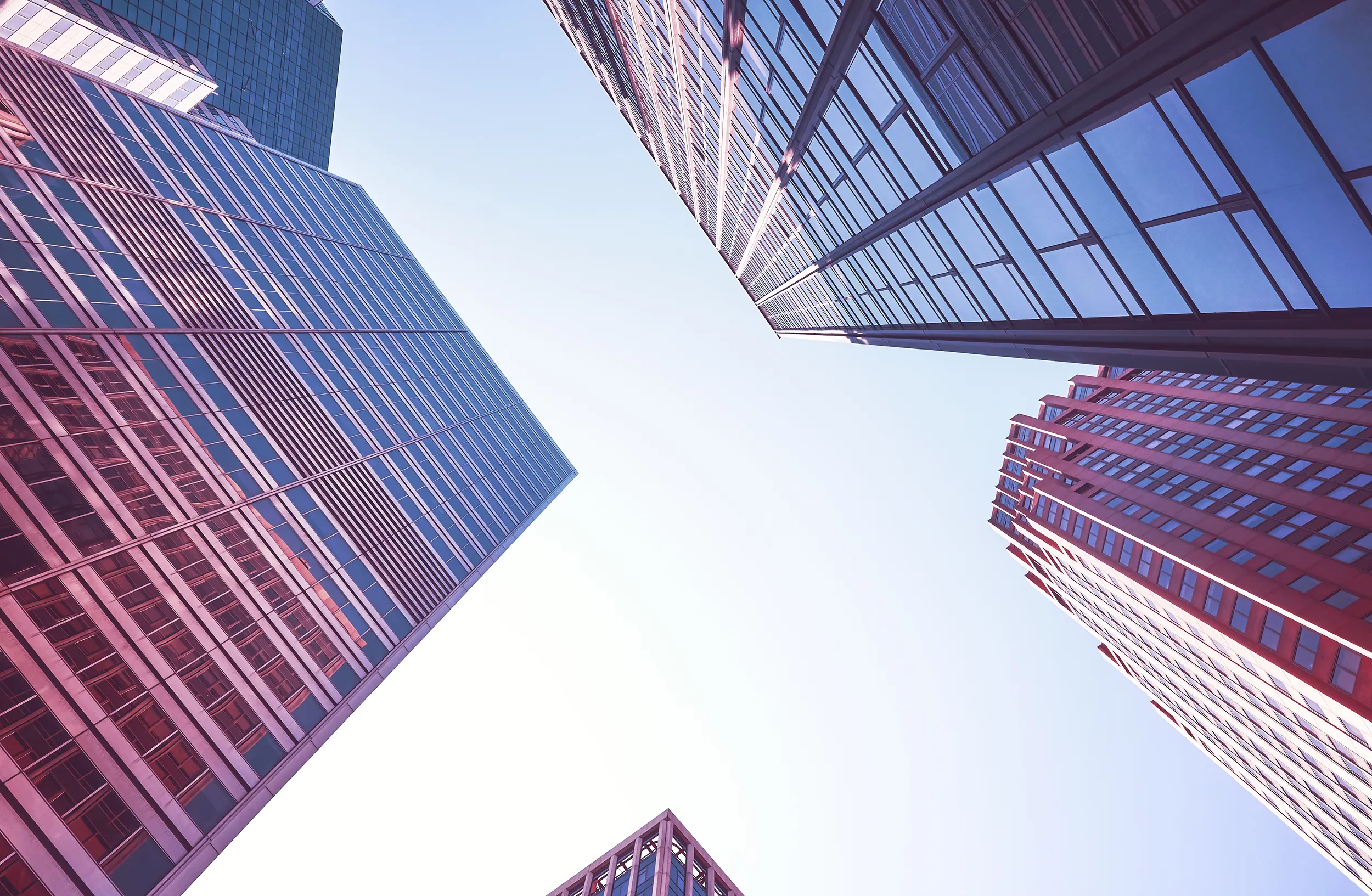 entitycomplianceheader