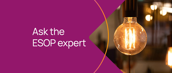 How are companies making share plans more attractive in the current market?