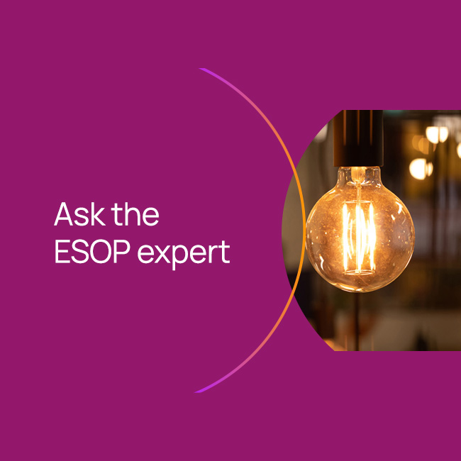 How are companies making share plans more attractive in the current market?