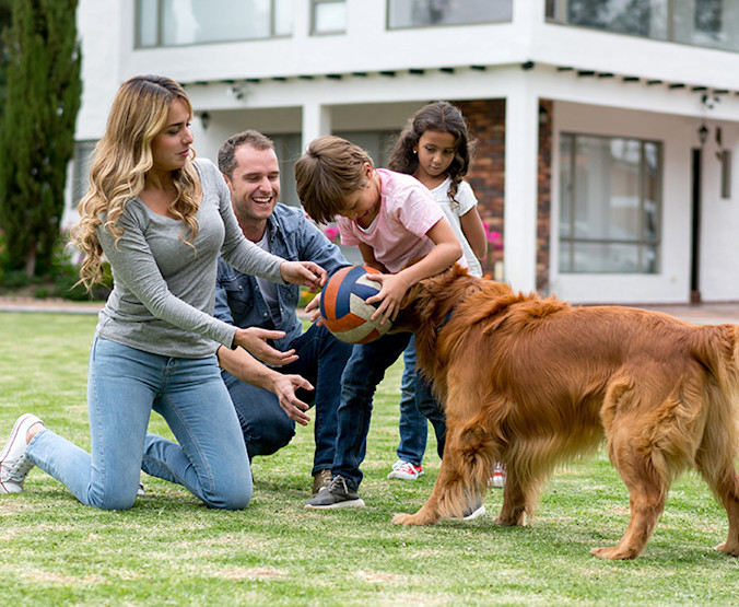 istock-619410818-happy-family-playing-ball-outdoors