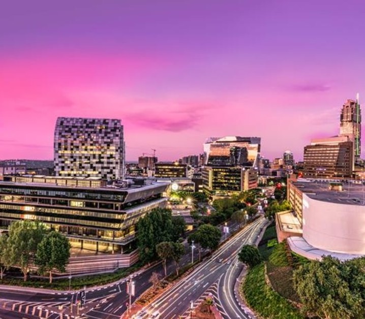 DivInsight Report - Q4 2025