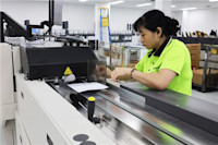 Thumbnail of Camellia-3