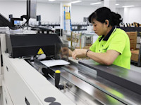 Camellia-3 Thumbnail of Camellia-3