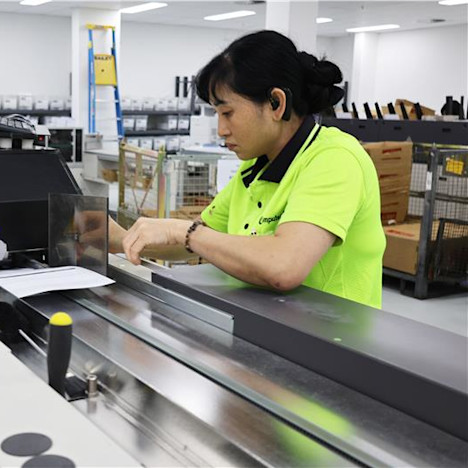 Camellia-3 Tile image of Camellia-3