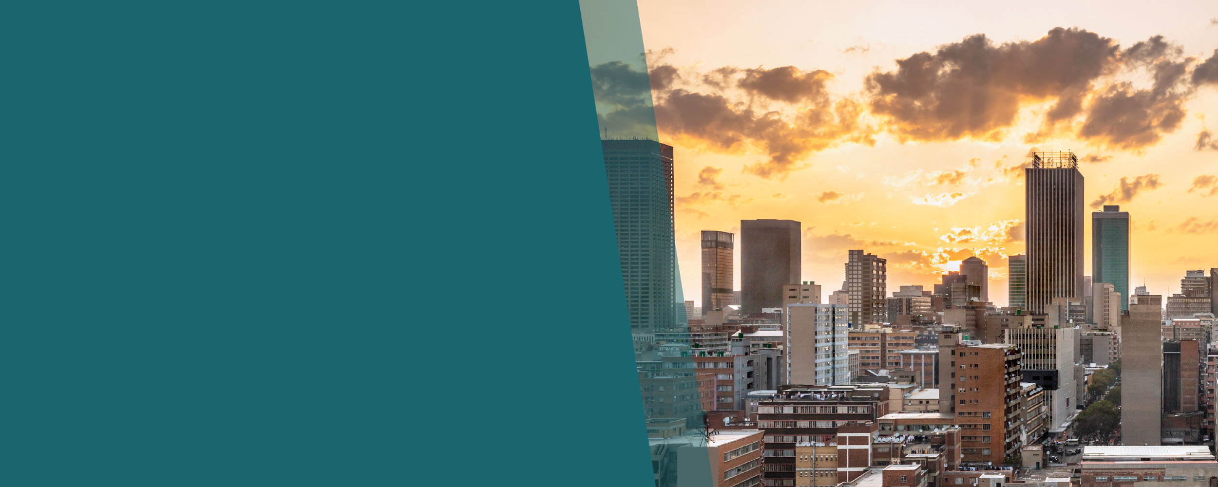 South African Dividend Insights