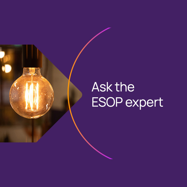 Once a company has opened a domestic SAFE account, what types of funds can be transferred in and out of it?