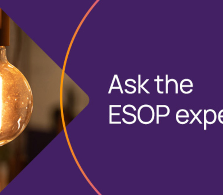 Once a company has opened a domestic SAFE account, what types of funds can be transferred in and out of it?