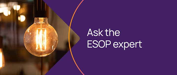 Once a company has opened a domestic SAFE account, what types of funds can be transferred in and out of it?