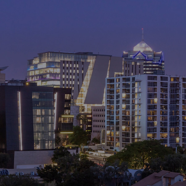 DivInsight Report - Q3 2024