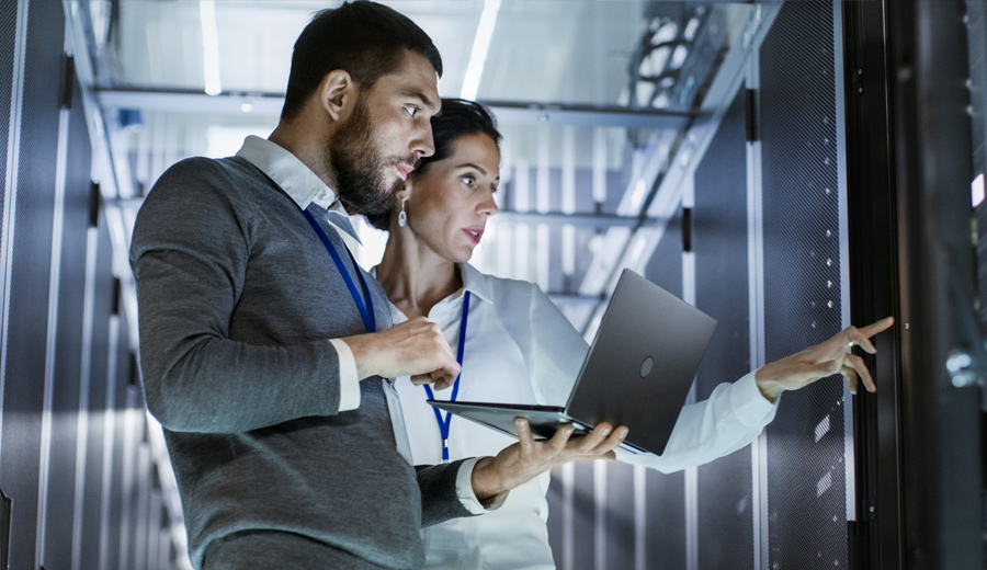 IT professionals
