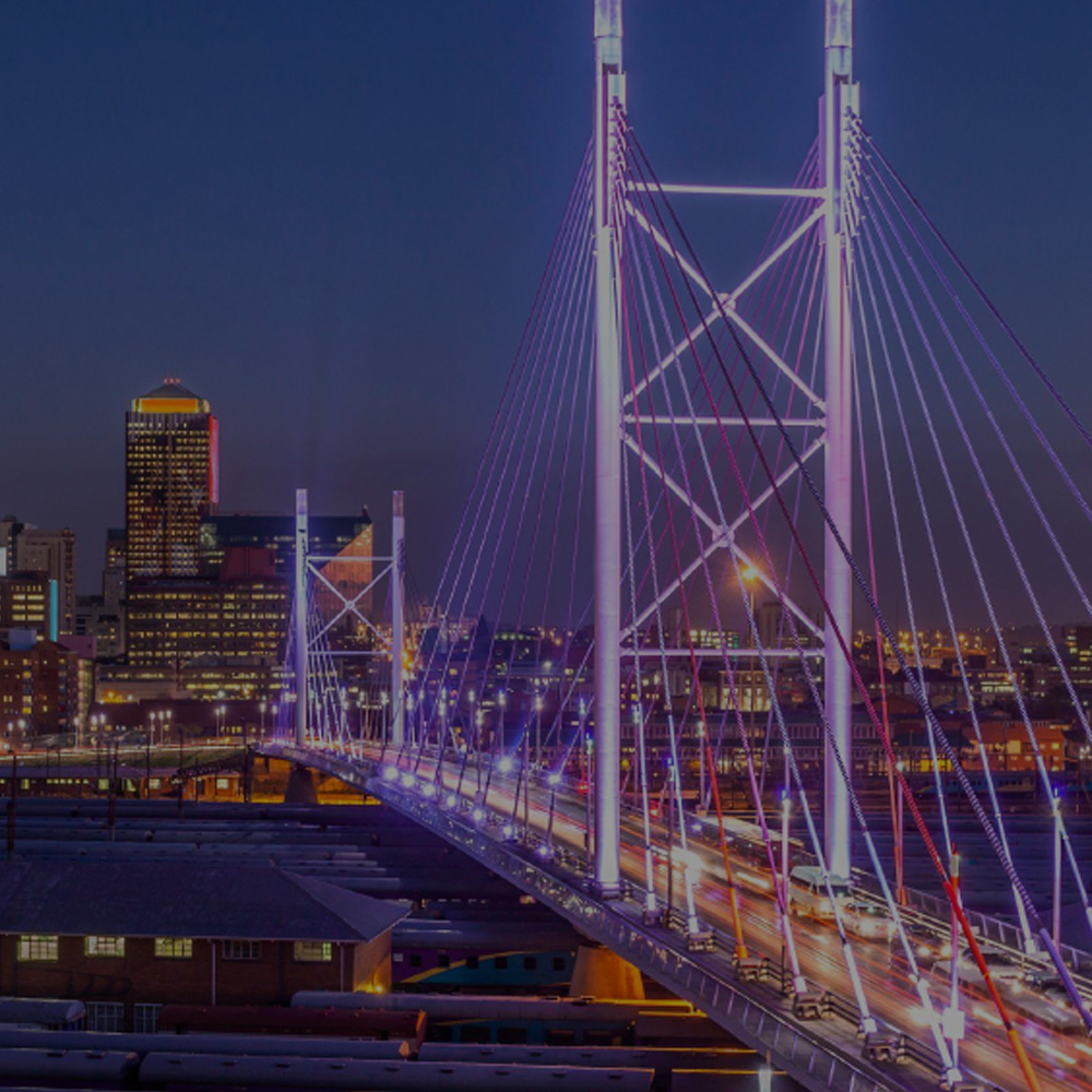 DivInsight Report - Q1 2024