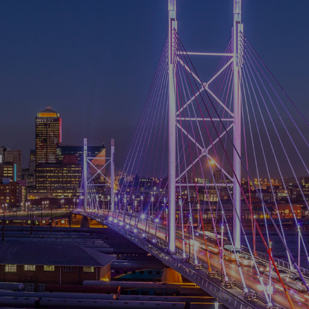 DivInsight Report - Q1 2024