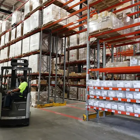 Camellia-6 Tile image of Camellia-6