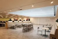 Thumbnail of Camellia-5