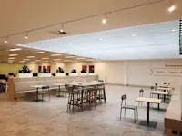 Camellia-5 Thumbnail of Camellia-5