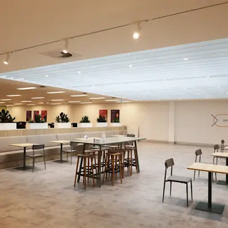 Camellia-5 Tile image of Camellia-5