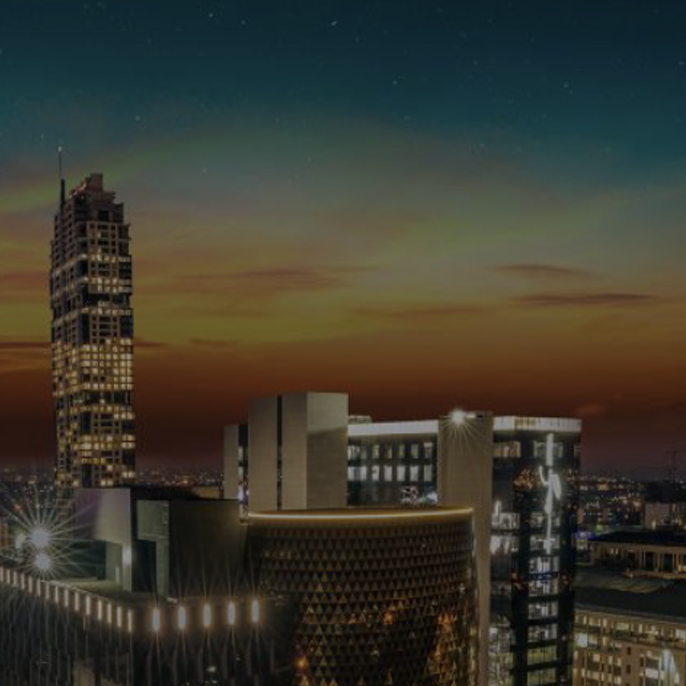 DivInsight Report - Q2 2024