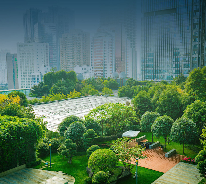 istock-1062930150-web