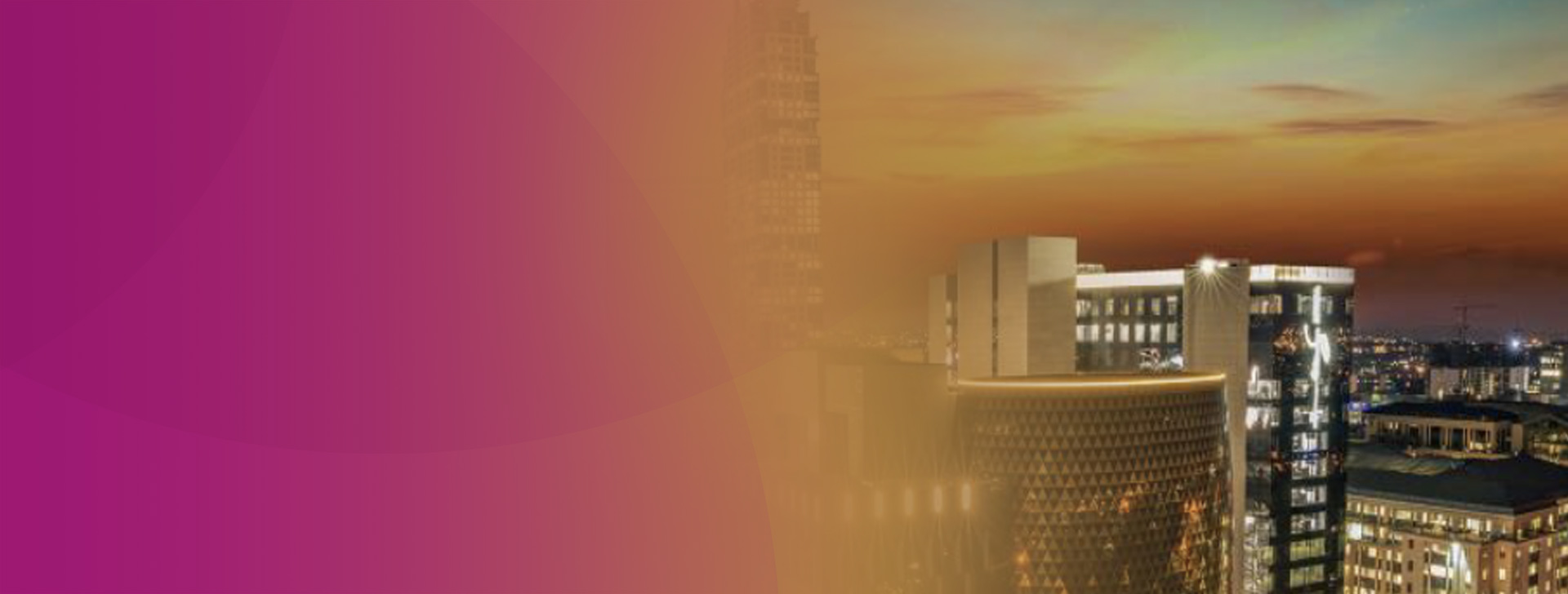 South African Dividend Insights