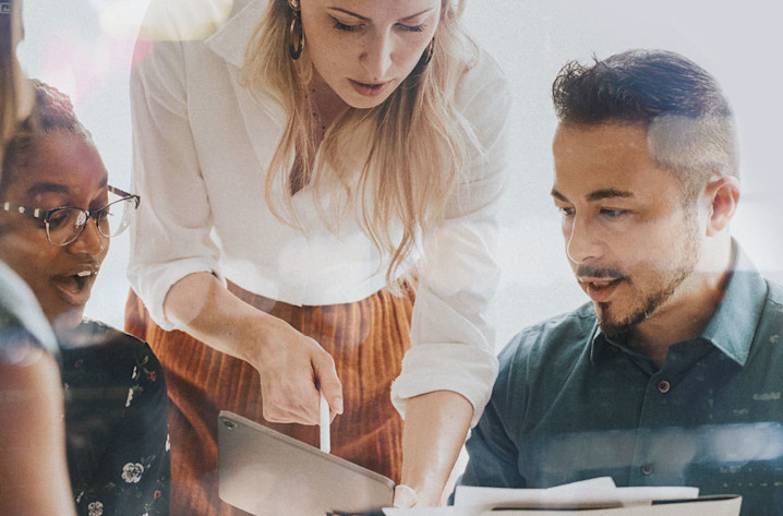 2026 New Zealand ASM Intelligence Report