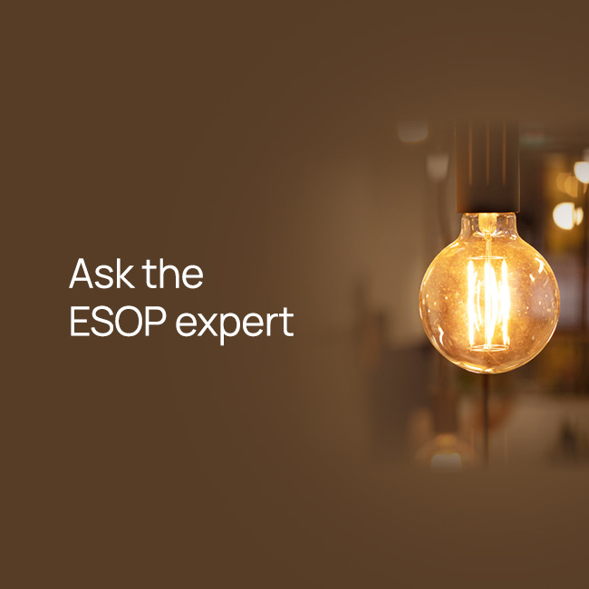 What are my Chapter 17 Interim/Annual disclosure reporting requirements?