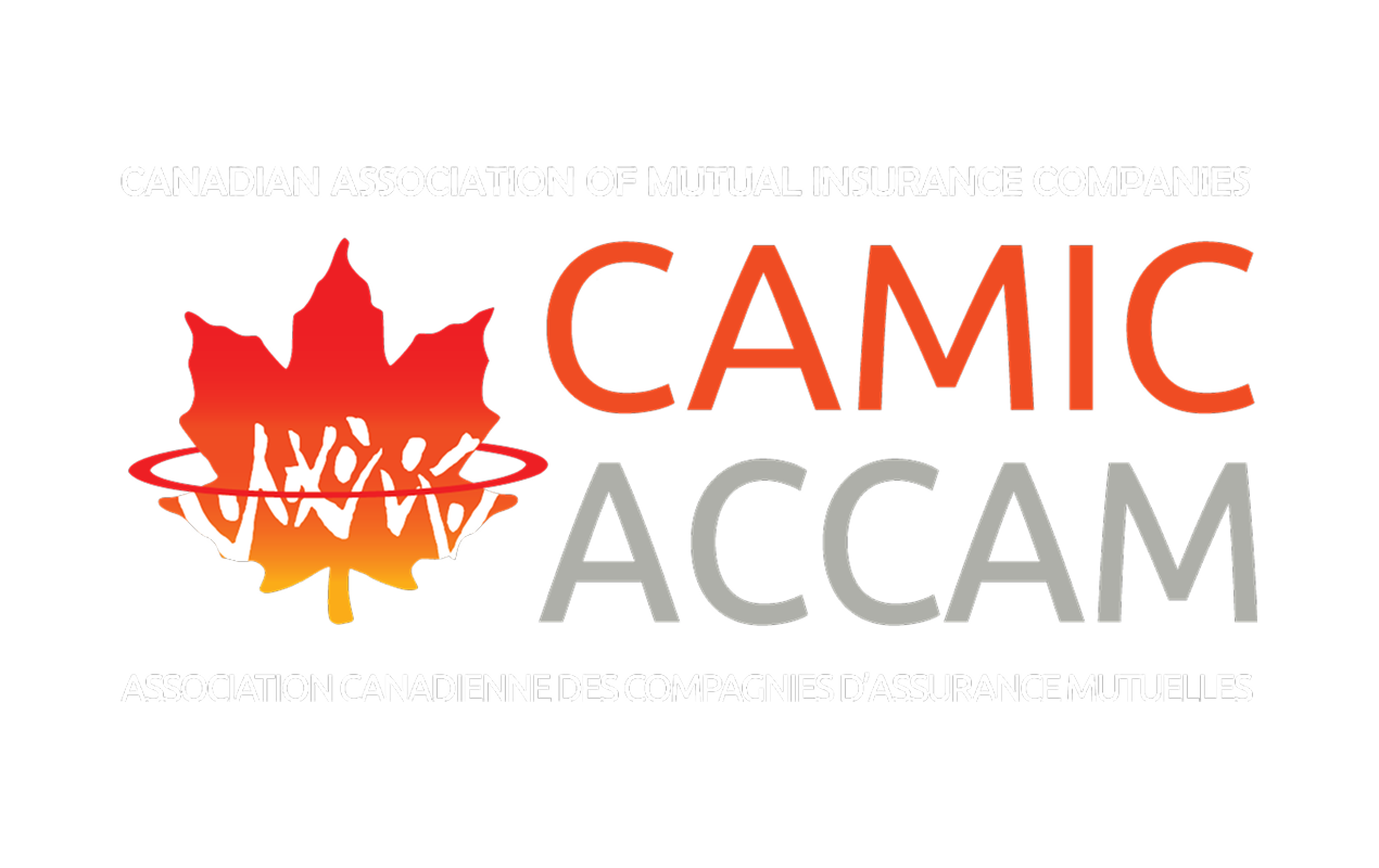 CAMIC Logo