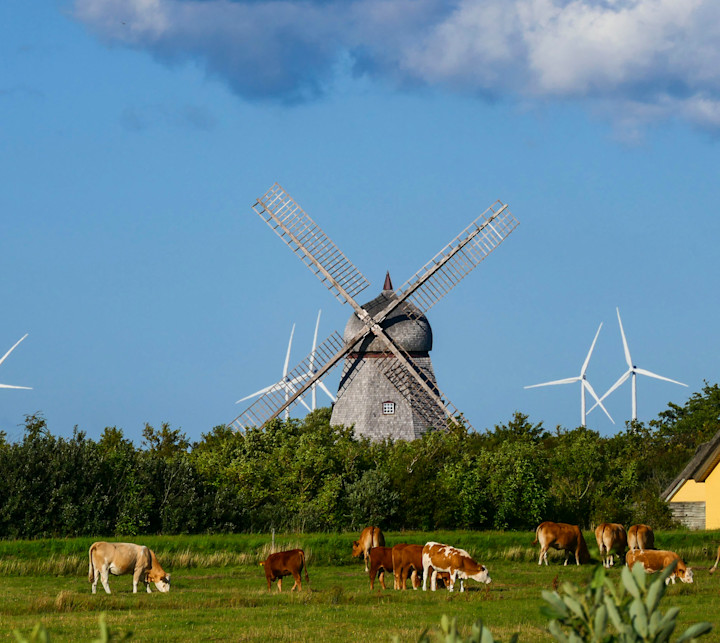 agm-season-review-dk