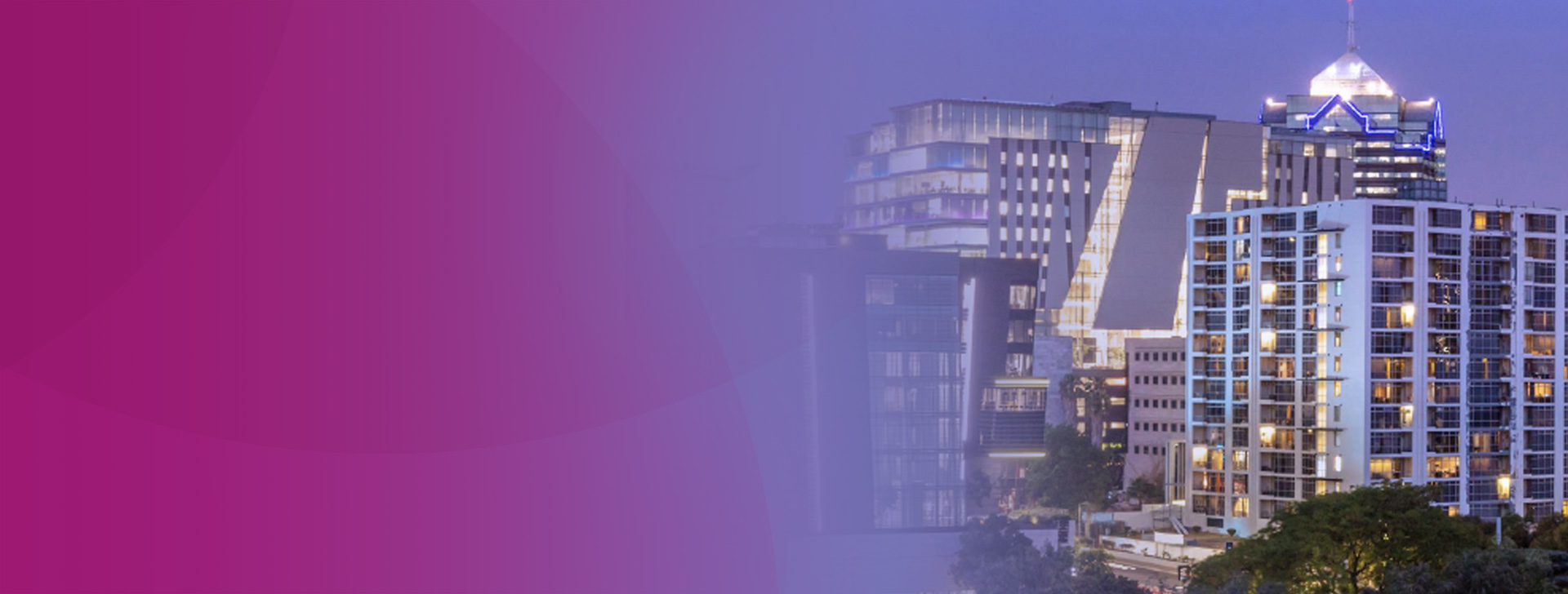 South African Dividend Insights