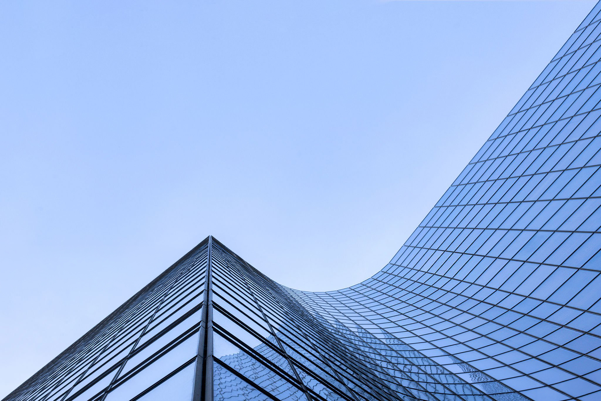 Site Header Background