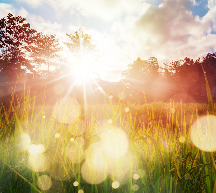 esg-reporting-communicate-progress