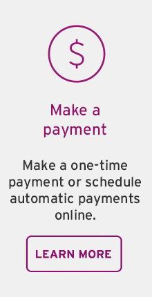 Make a one-time payment