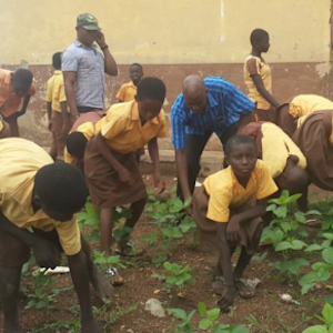 fmnr - environment clubs