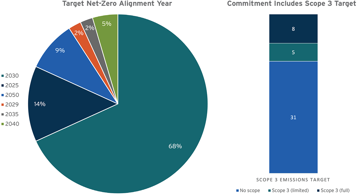 Net-zero commitment details by group